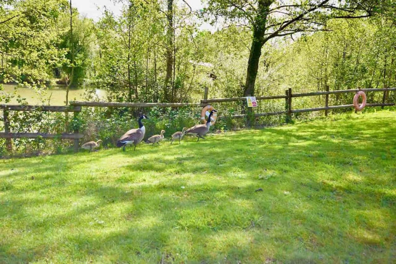 E7 Roebeck Country Park Villa Ryde  Exterior photo